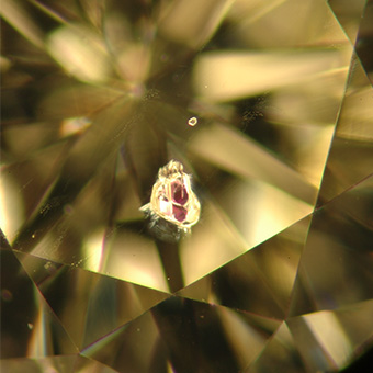 Natural Diamond with included garnet crystal